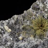 Korobitsynite & Sazhinite