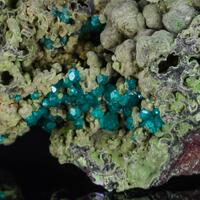 Dioptase With Conichalcite
