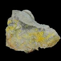 Dumontite