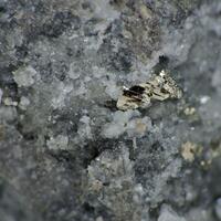 Calaverite