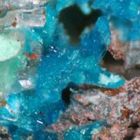 Serpierite & Cuprian Adamite