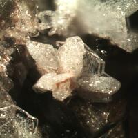 Cristobalite & Tridymite