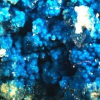 Carbonatecyanotrichite