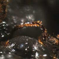 Magnetite & Goethite