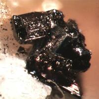 Apuanite