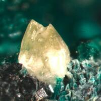Powellite & Brochantite