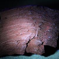 Quartz Psm Fossil Wood