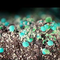 Marioantofilliite & Malachite
