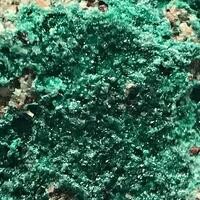 Paratacamite