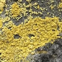 Copiapite