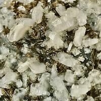 Albite