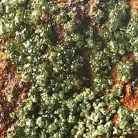 Olivenite