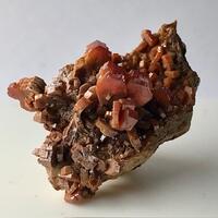 Darwin Ciencias Naturales: 14 Mar - 21 Mar 2025