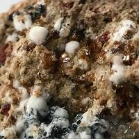 Phlogopite
