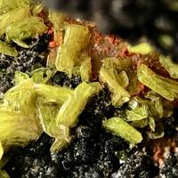 Autunite