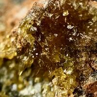 Powellite