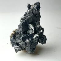 Darwin Ciencias Naturales: 12 Jul - 18 Jul 2025