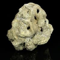 Fossil Marcasite