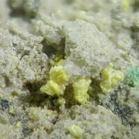 Alwilkinsite-(Y)