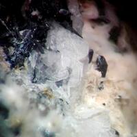 Naujakasite