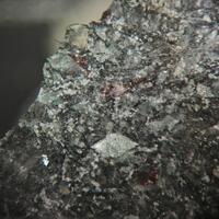 Naujakasite