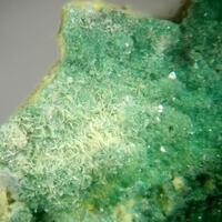 Rutherfordine & Torbernite