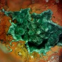 Glauconite On Jasper