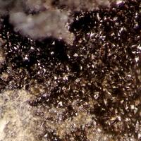 Hetaerolite