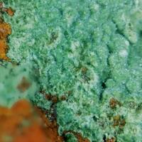 Glauconite On Jasper