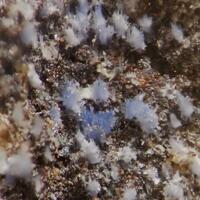 Elyite