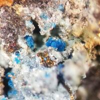 Posnjakite