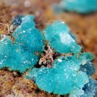 Turquoise
