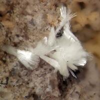 Ferrierite-NH4