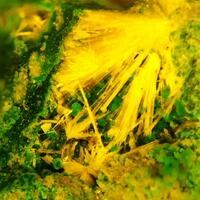 Guilleminite