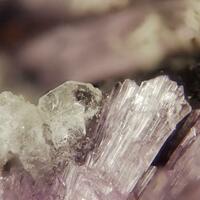 Khademite Goldichite Römerite & Coquimbite