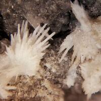 Natrolite
