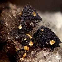 Tripuhyite