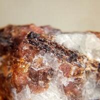 Rinkite-(Ce)
