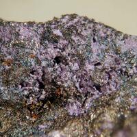 Elyite