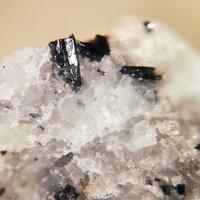 Pinakiolite