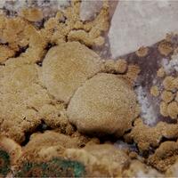 Kolwezite