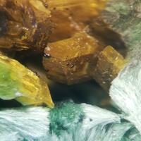 New Brand Minerals: 19 Mar - 25 Mar 2025