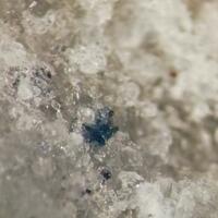 Bavsiite & Suzukiite