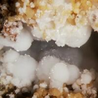 Cowlesite
