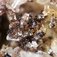 New Brand Minerals: 23 Apr - 29 Apr 2025