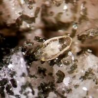 Titanite