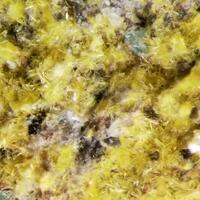 Schoepite
