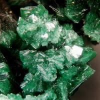 Torbernite