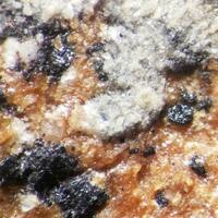 Franciscanite