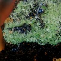 Goudeyite